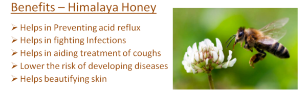 HIMALAYA HONEY – 250gm free Compounded Asafoetida Powder 50gm